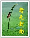 浪女二十八