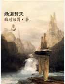 鼎道焚天